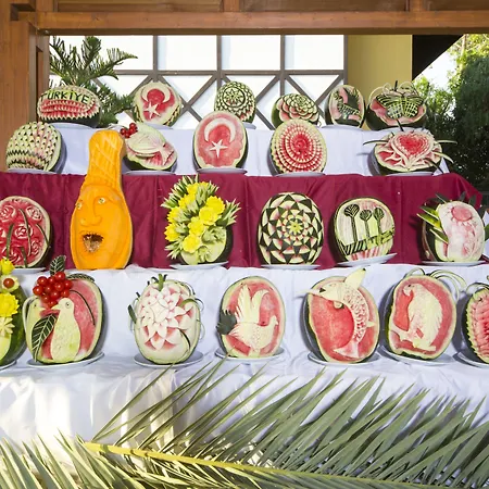 酒店 Club Dizalya Konaklı