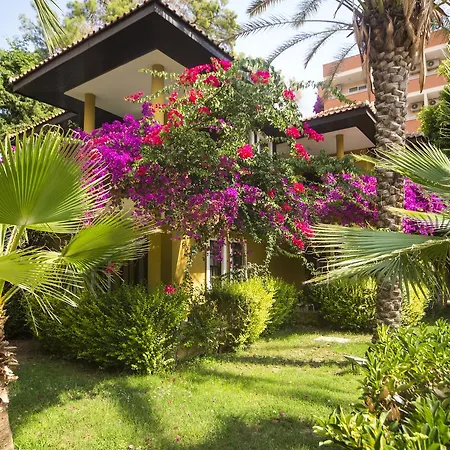 Club Dizalya Отель