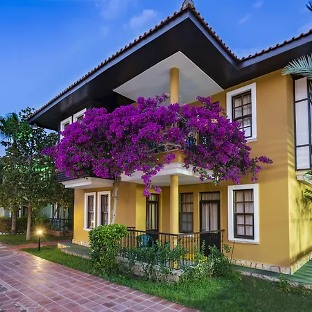 Club Dizalya Отель